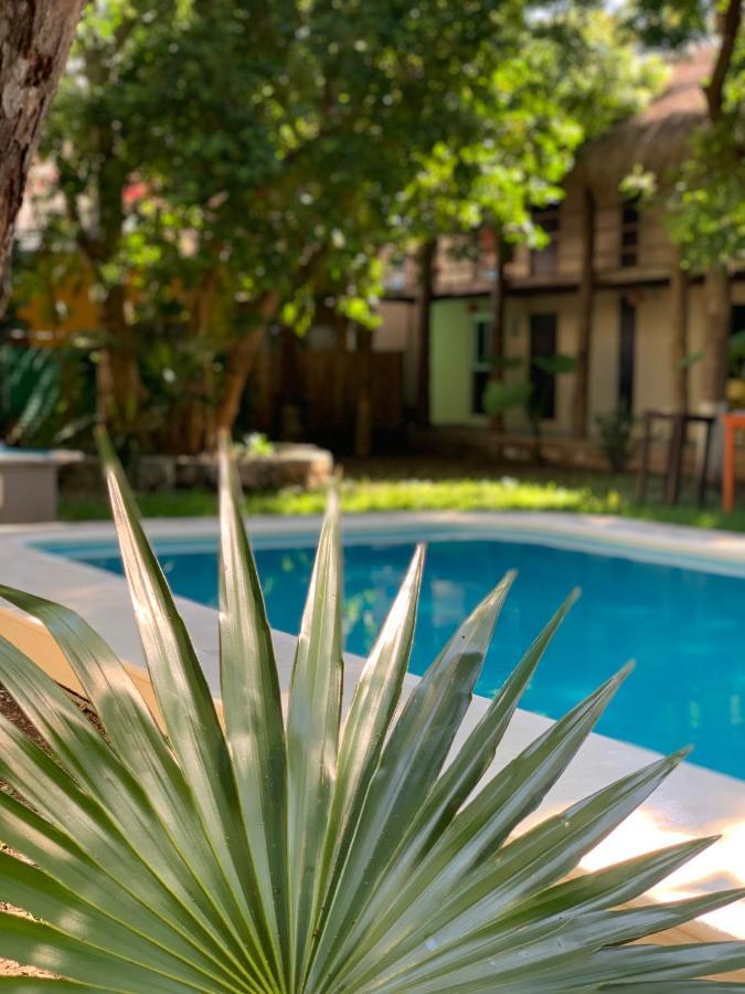פלאייה דל כרמן Ammare Hotel Boutique מראה חיצוני תמונה
